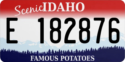ID license plate E182876