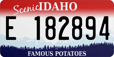 ID license plate E182894