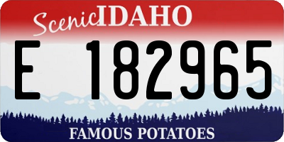 ID license plate E182965