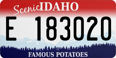ID license plate E183020