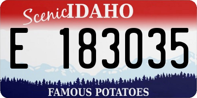 ID license plate E183035