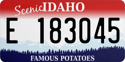 ID license plate E183045