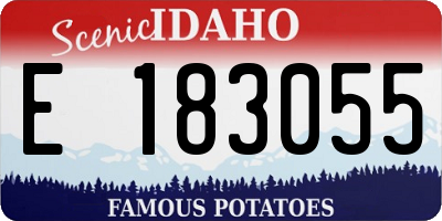 ID license plate E183055