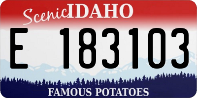 ID license plate E183103