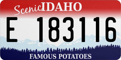 ID license plate E183116