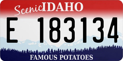 ID license plate E183134
