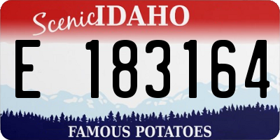 ID license plate E183164