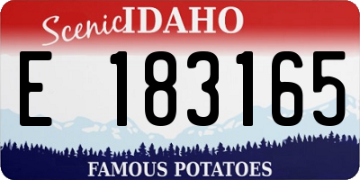 ID license plate E183165