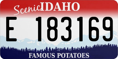 ID license plate E183169