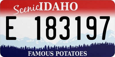 ID license plate E183197