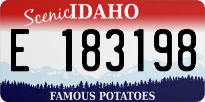 ID license plate E183198