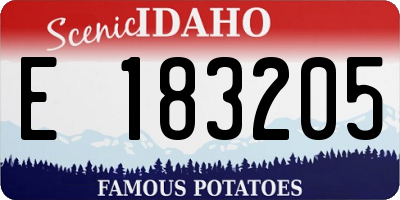 ID license plate E183205