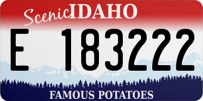 ID license plate E183222