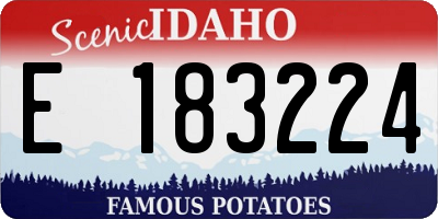 ID license plate E183224
