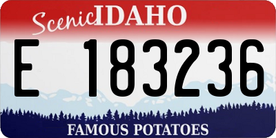 ID license plate E183236