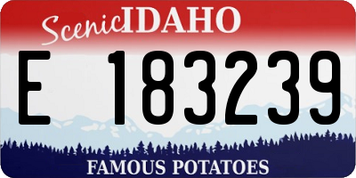 ID license plate E183239