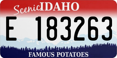 ID license plate E183263