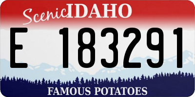 ID license plate E183291