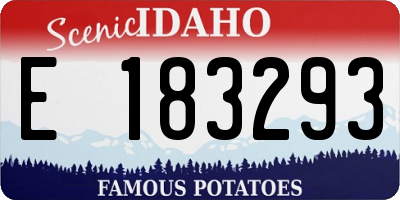 ID license plate E183293