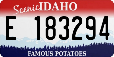 ID license plate E183294