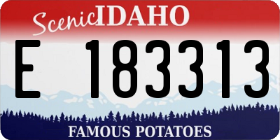 ID license plate E183313