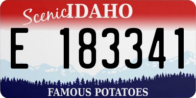 ID license plate E183341