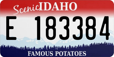 ID license plate E183384