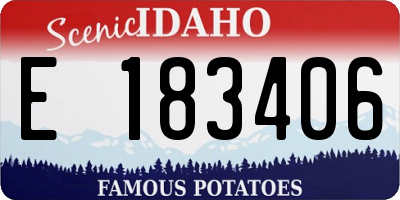 ID license plate E183406