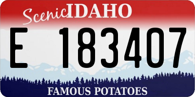 ID license plate E183407