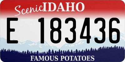 ID license plate E183436