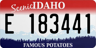 ID license plate E183441