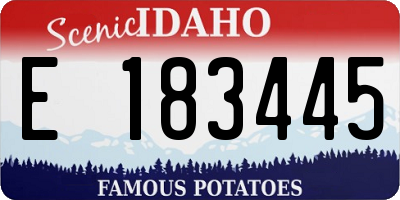 ID license plate E183445