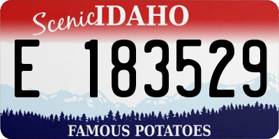 ID license plate E183529