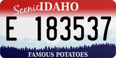 ID license plate E183537