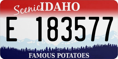 ID license plate E183577