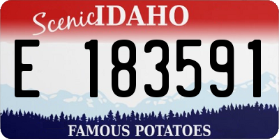 ID license plate E183591