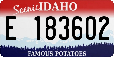 ID license plate E183602