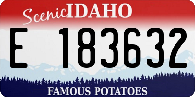 ID license plate E183632