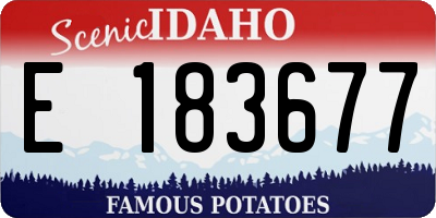 ID license plate E183677