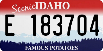 ID license plate E183704