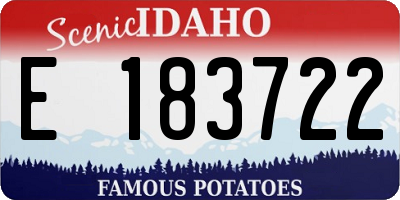 ID license plate E183722