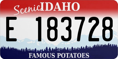 ID license plate E183728