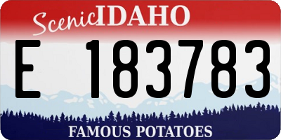 ID license plate E183783