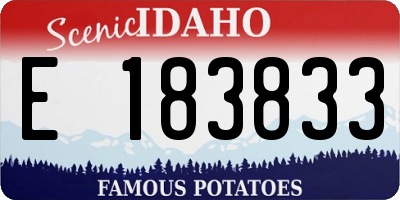 ID license plate E183833
