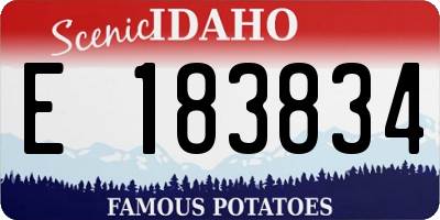 ID license plate E183834