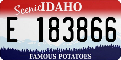 ID license plate E183866