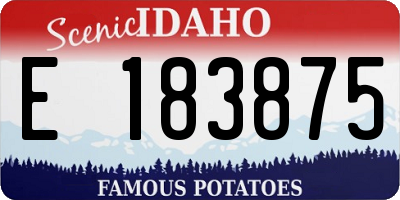 ID license plate E183875