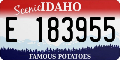 ID license plate E183955