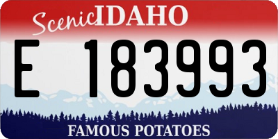 ID license plate E183993