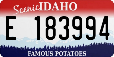 ID license plate E183994
